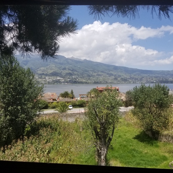 Meet your Posher, Martha - Picture 1 of 1